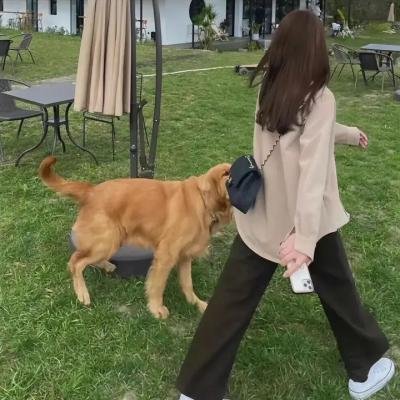 艳星发明家